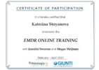 EMDR Online Training
