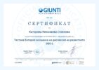 Тестова батерия за оценка на дислексия на развитието DDE-2