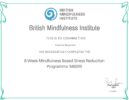 Mindfulness Based Stress Reduction Programme (MBSR)