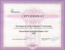 Тематичен аперцептивен тест TAT